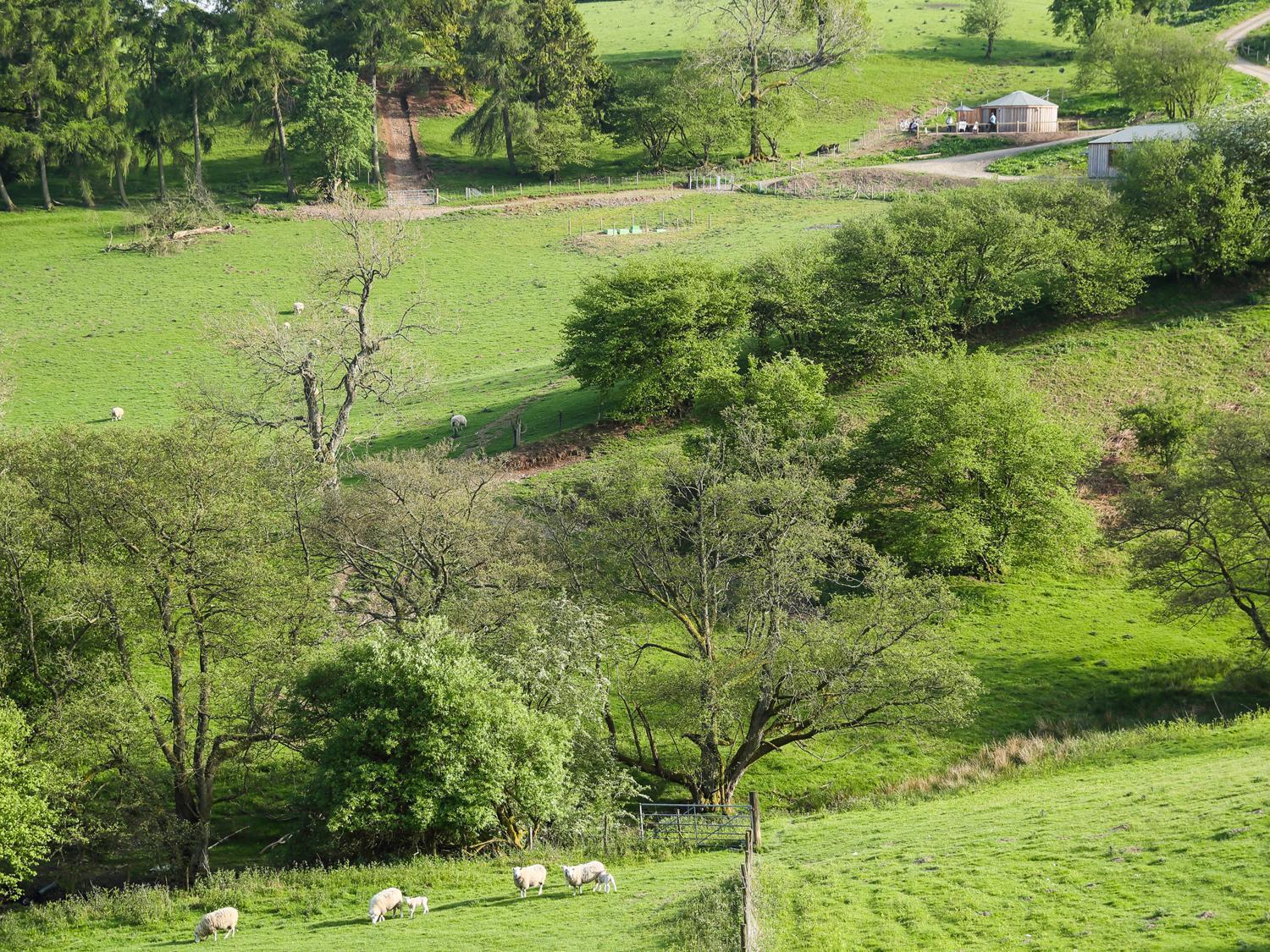 Rolling Hills Villa Newcastle  Luaran gambar