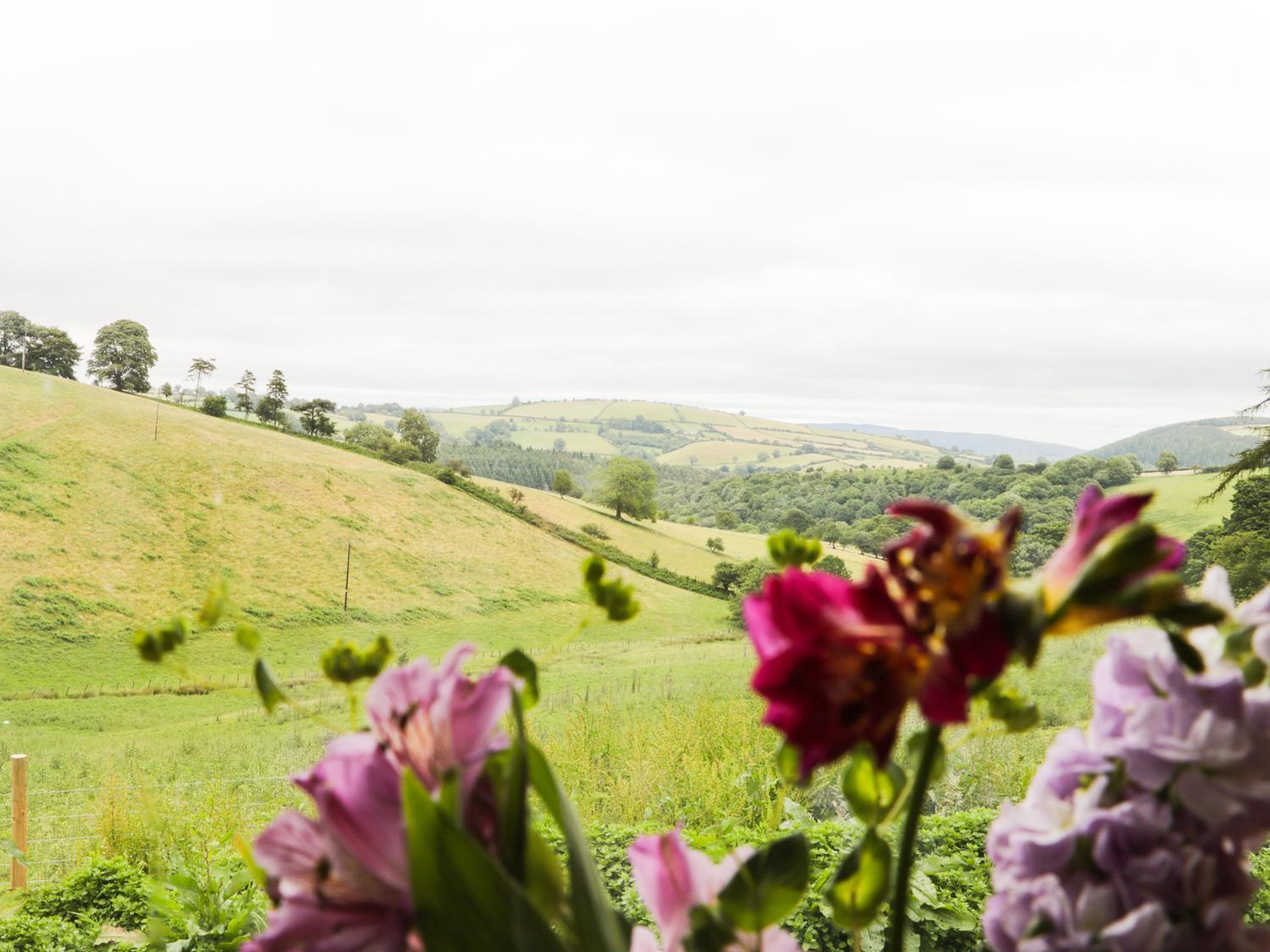 Rolling Hills Villa Newcastle  Luaran gambar